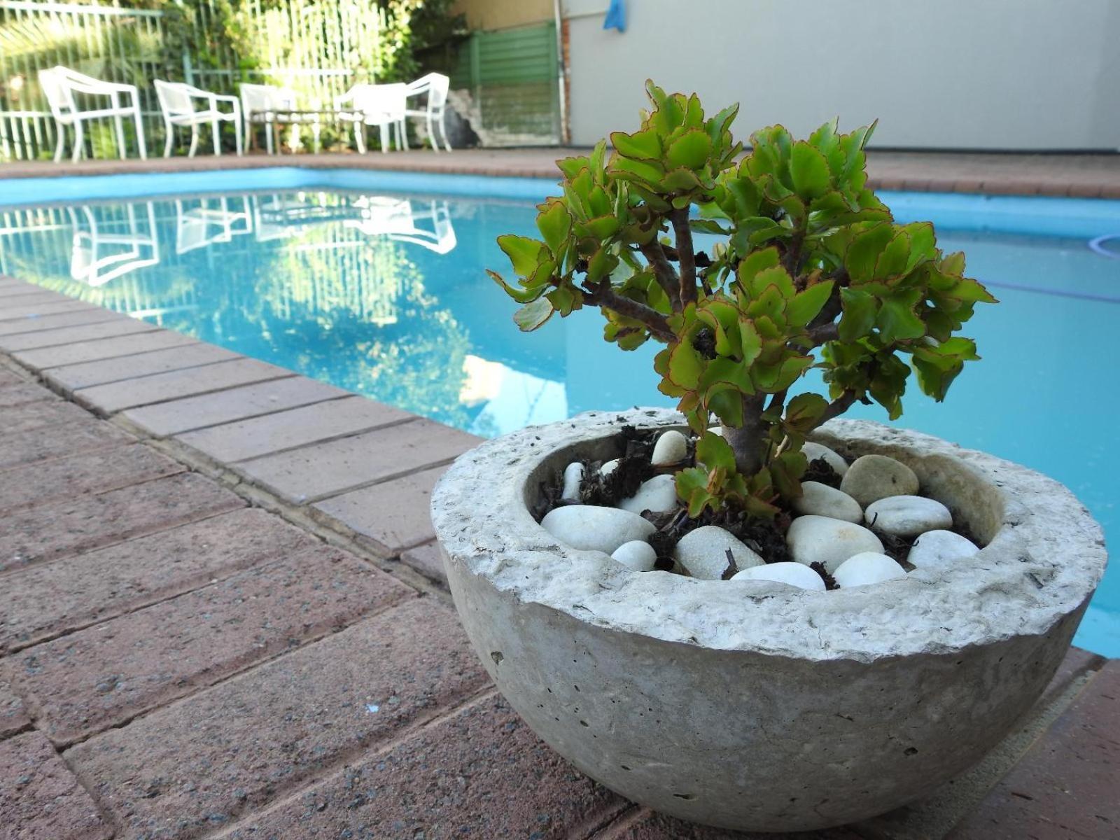 The Lantern Guesthouse Bloemfontein Bagian luar foto